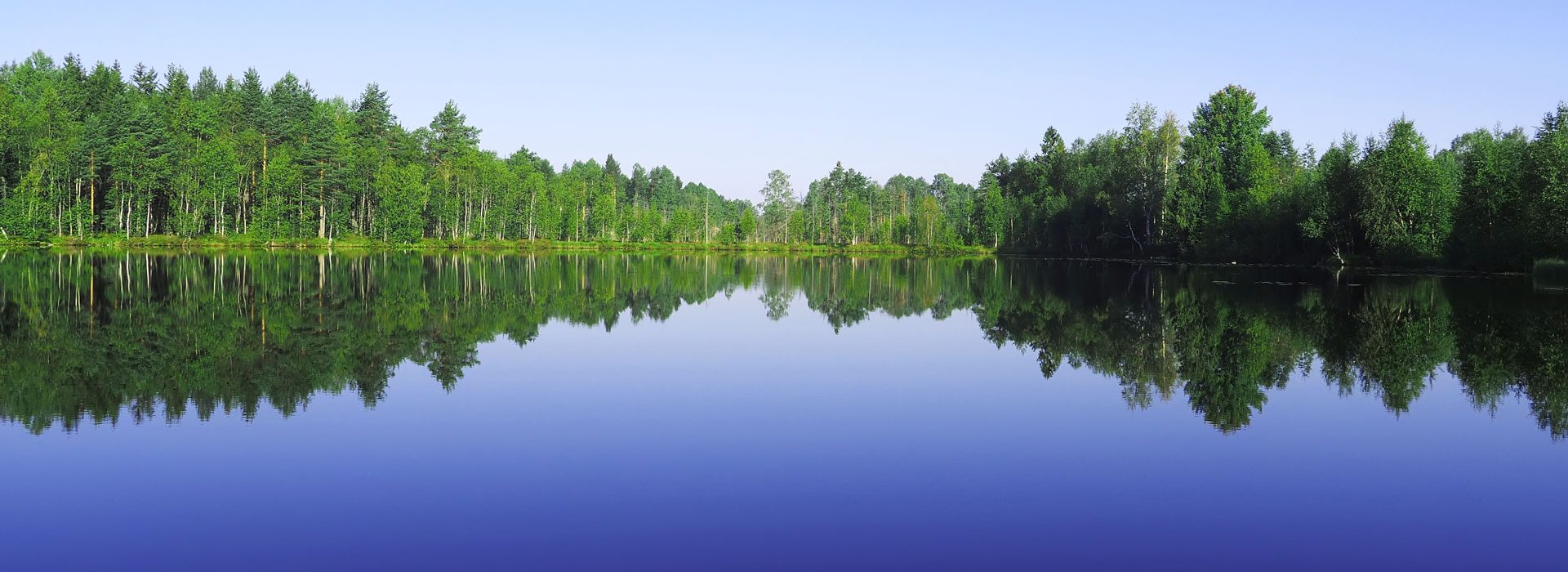 Header-Trees-along-Lake