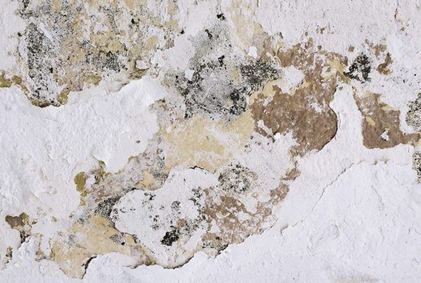 Water Damage