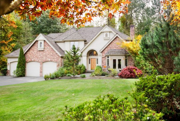 Blog - Suburban home from the front garden in early Autumn as the leaves begin to turn