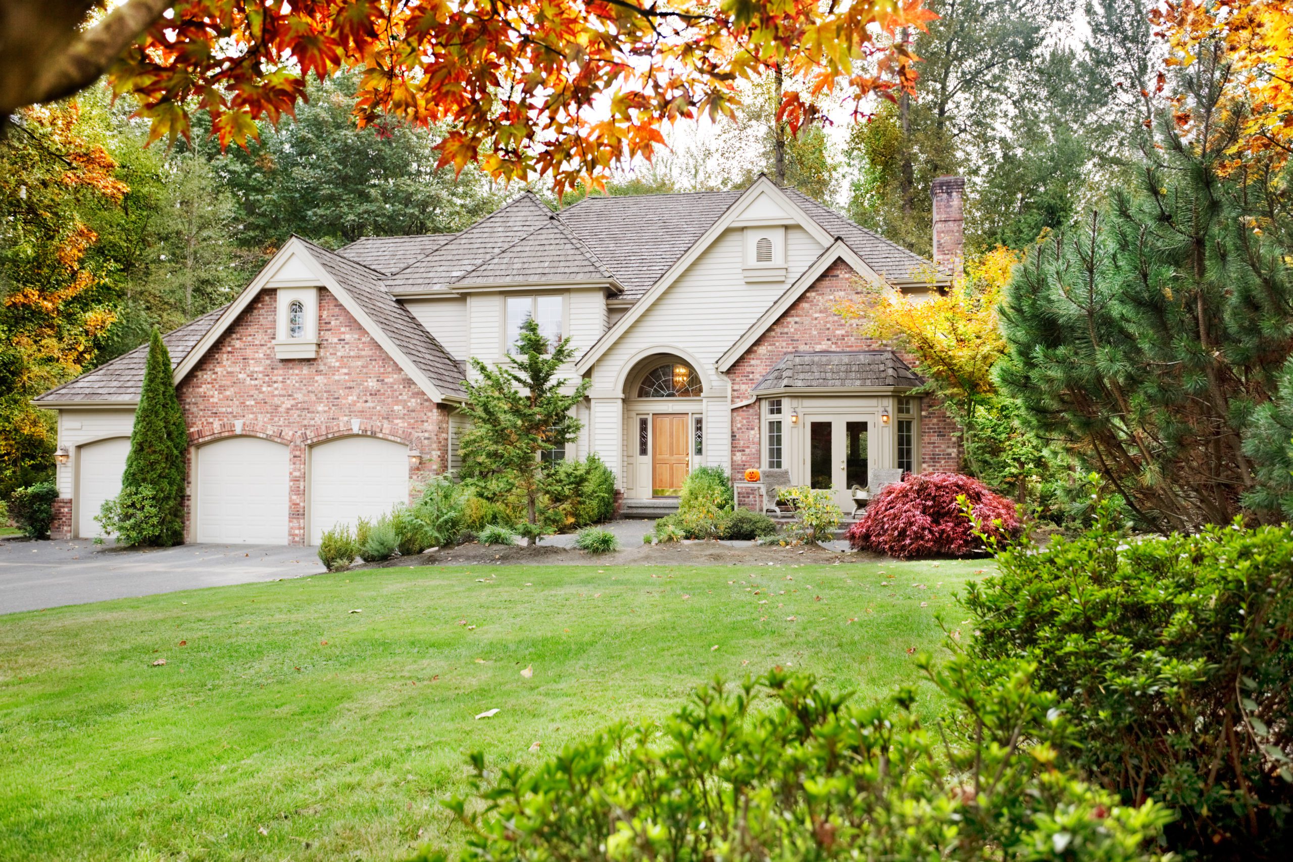 Blog - Suburban home from the front garden in early Autumn as the leaves begin to turn