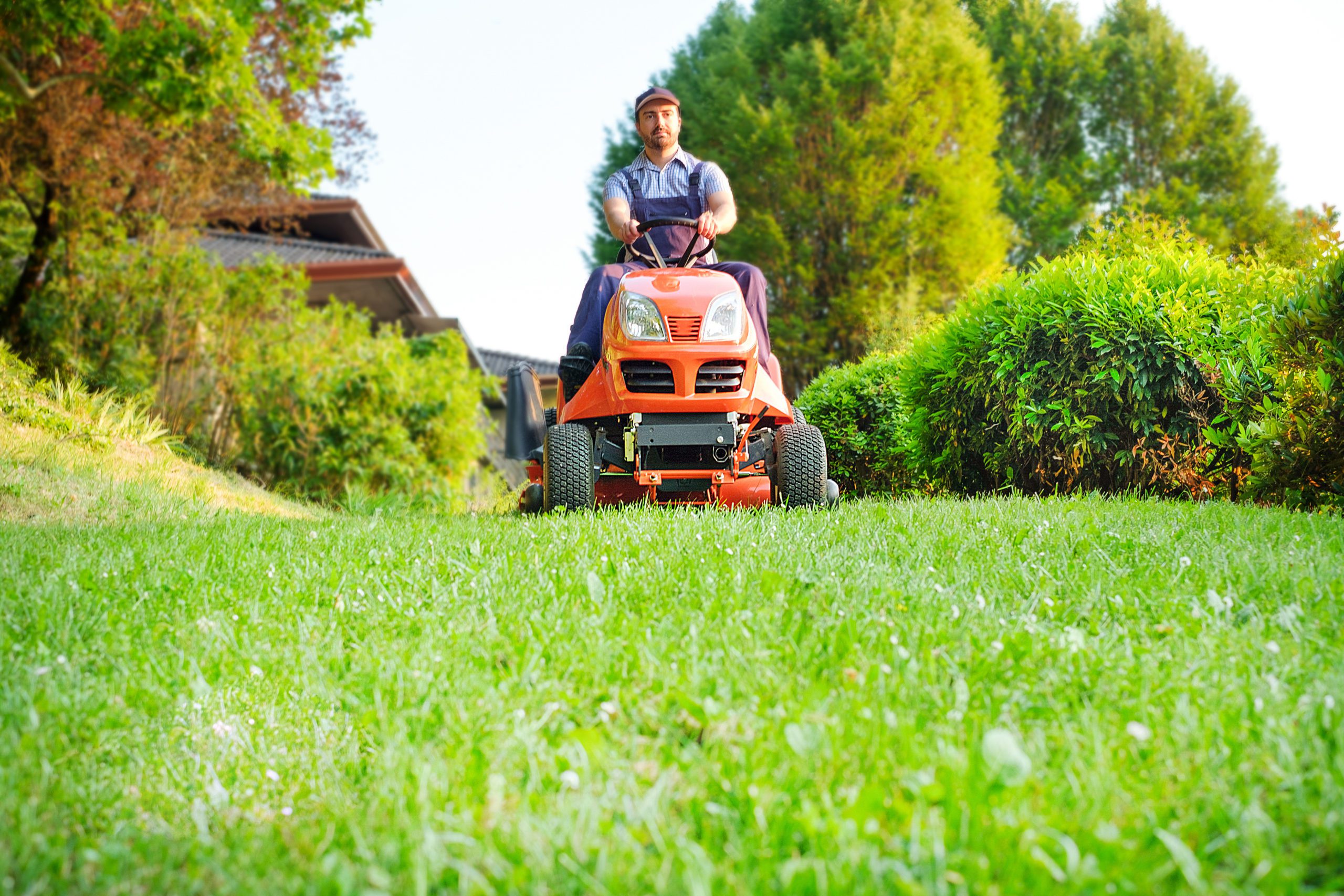 Blog - Gardener driving a riding lawn mower in garden