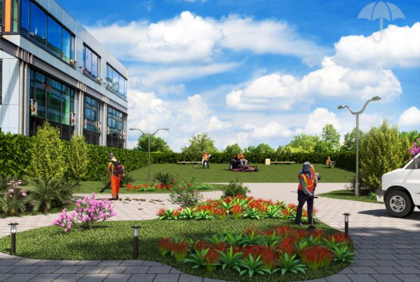 Landscaping Services