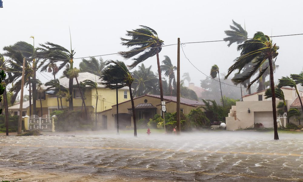 Blog Post - Hurricane Wind Risks